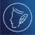 icon-1